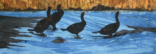 Image entitled Ebb Tide Cormorants