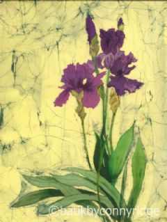 Image entitled Irises