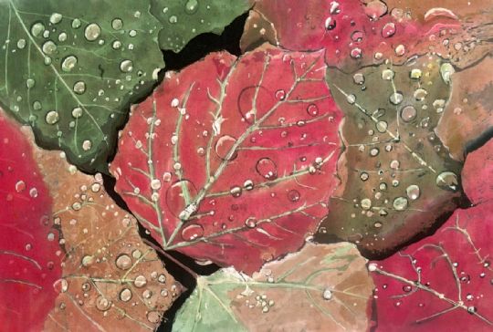 Image entitled Raindrops on Leaves