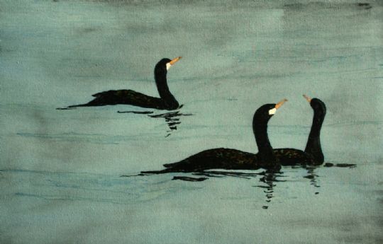 Image entitled Cormorants