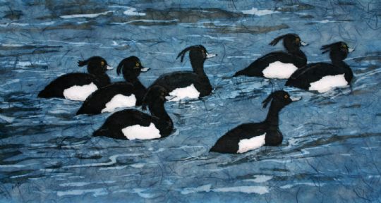 Image entitled Tufted Ducks