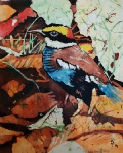 Image entitled Nuthatch