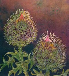 Image entitled Thistles