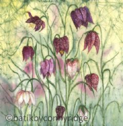 Image entitled Fritillaries