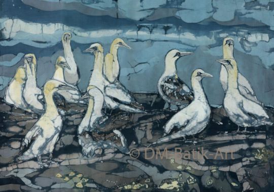 Image entitled Gannets at Noup of Noss