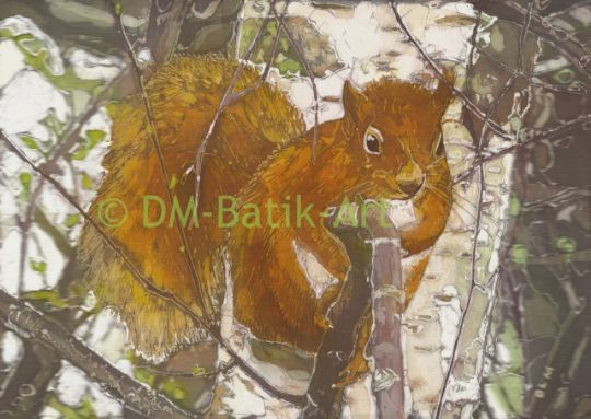 Image entitled Red Squirrel