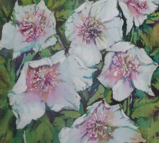 Christmas rose