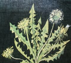 Image entitled Dandelion dreams