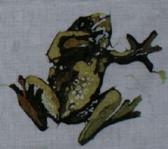 Image entitled Frog 4