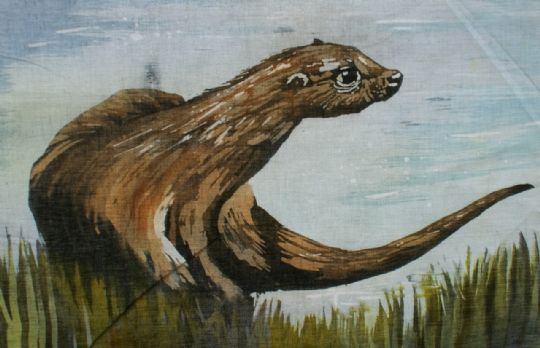 Image entitled Sunart otter