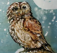 Image entitled Wee owl