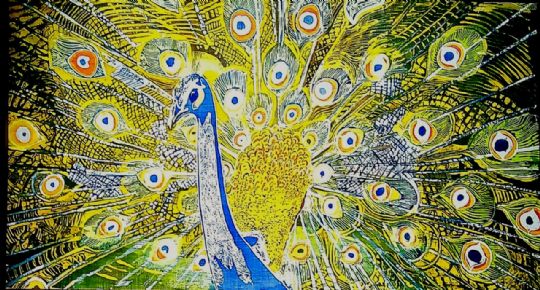 Image entitled Peacock