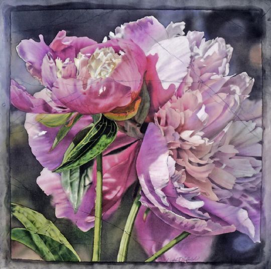 Blush of Crinoline