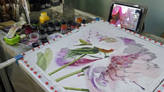 Image entitled Peony in progress