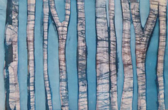 Boomstammen van de berk