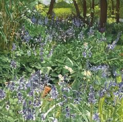 Image entitled Bluebells and Primroses