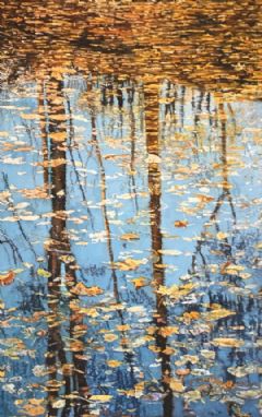 Image entitled Floating Leaves and Reflections of Trees