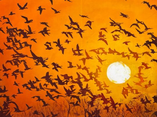 Image entitled 'Full Flight at Sunset'