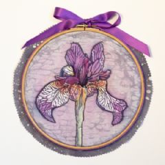 Image entitled Iris