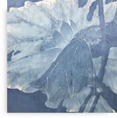 Image entitled Dutch